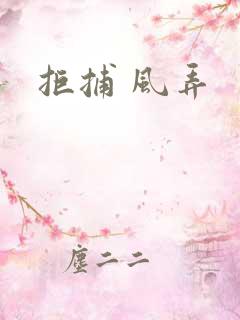 拒捕 风弄