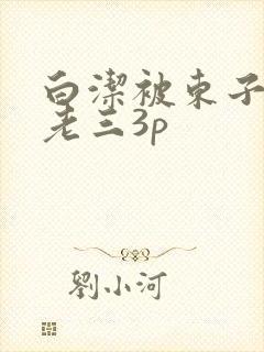 白洁被东子老二老三3p