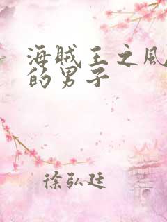 海贼王之风一样的男子