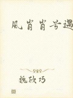 风肖肖兮遇子期