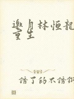 邀月林恒龙凤胎重生
