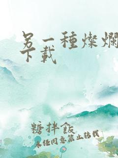 另一种灿烂生活下载