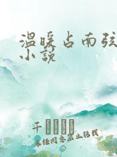温暖占南弦尹衿小说