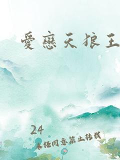 爱恋天狼王子