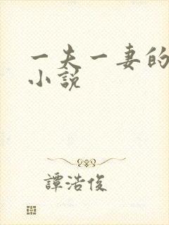 一夫一妻的玄幻小说