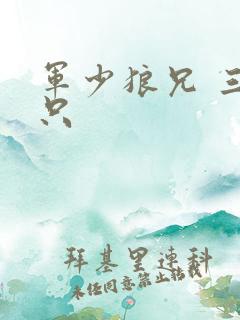 军少狼兄 三两只