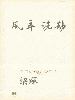 风弄 洗劫