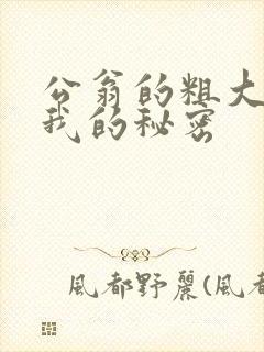 公翁的粗大放进我的秘密