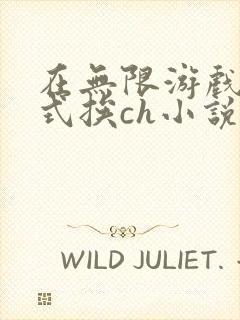 在无限游戏里花式挨ch小说