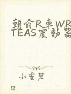 朝俞R车WRITEAS震动器