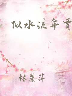 似水流年贾二虎