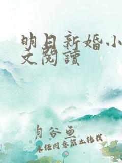 明日新婚小说全文阅读