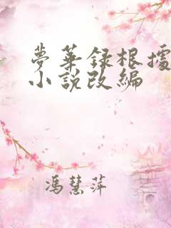 梦华录根据什么小说改编