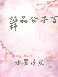 极品公子百度百科