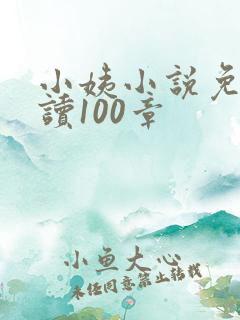 小姨小说免费阅读100章