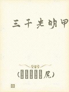 三千光明甲