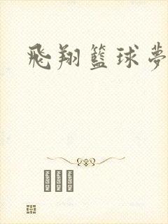 飞翔篮球梦下载