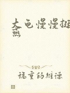 大龟慢慢挺进张燕