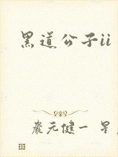 黑道公子ii