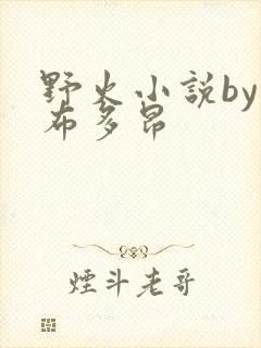 野火小说by夏布多昂