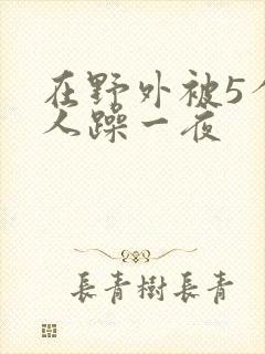 在野外被5个男人躁一夜