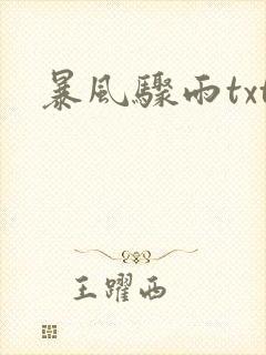暴风骤雨txt