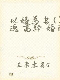以婚为名 (军魂 高干 婚恋)