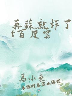 再苏就炸了txt百度云