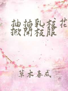 抽插乳校花老师掀开校服