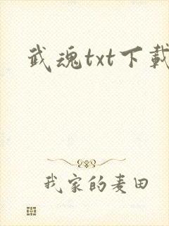 武魂txt下载