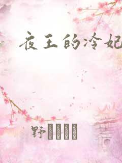 夜王的冷妃