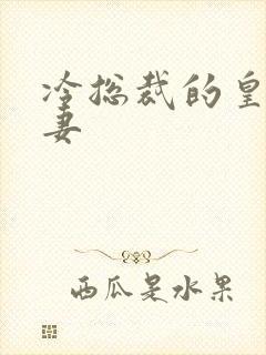 冷总裁的皇后暖妻