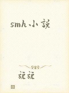 smh小说