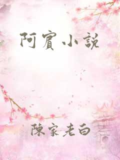 阿宾小说