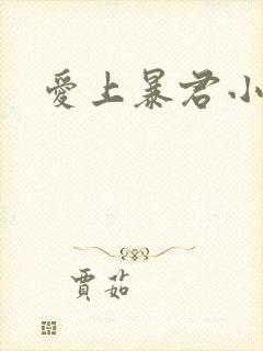 爱上暴君小甜心