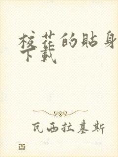 校花的贴身保镖下载