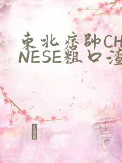 东北痞帅CHINESE粗口渣男