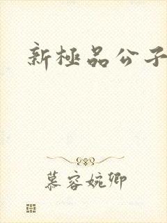 新极品公子