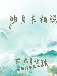 明月来相照txt