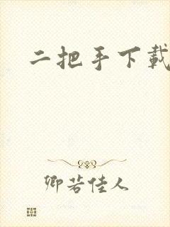 二把手下载