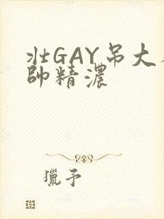 壮GAY吊大人帅精浓