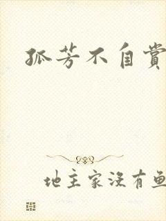 孤芳不自赏小说