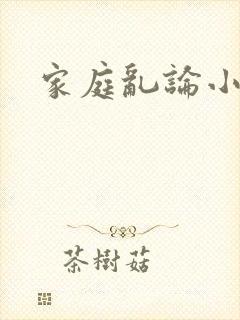家庭乱论小说