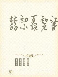 林初夏和江未寒的小说免费阅读