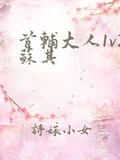 首辅大人1v2苏其