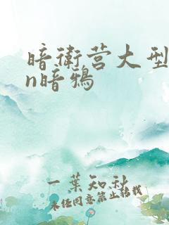 暗卫营大型hpn暗鸦