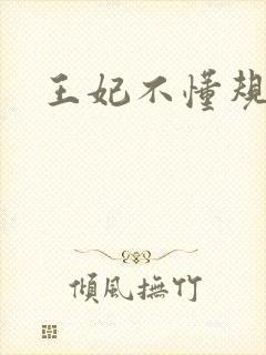 王妃不懂规矩