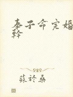 奉子命完婚 高干