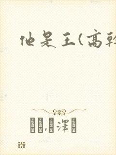 他是王(高干)