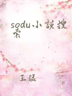 sodu小说搜索